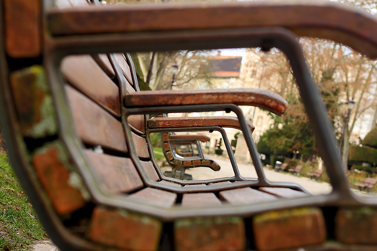 保定園林府邸最新動態(tài)，城市綠心的生機脈動