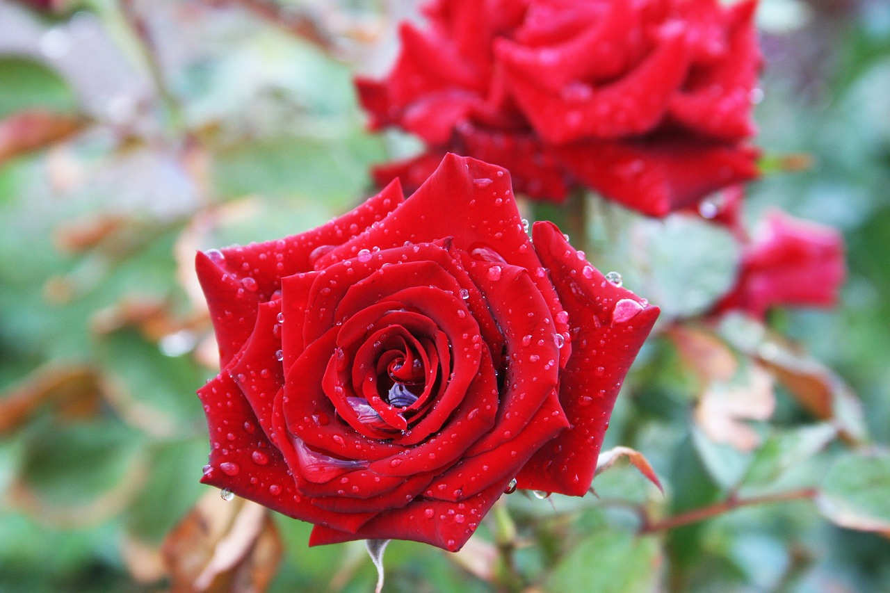 九價(jià)資訊，掌握最新動(dòng)態(tài)，健康主動(dòng)權(quán)在手！