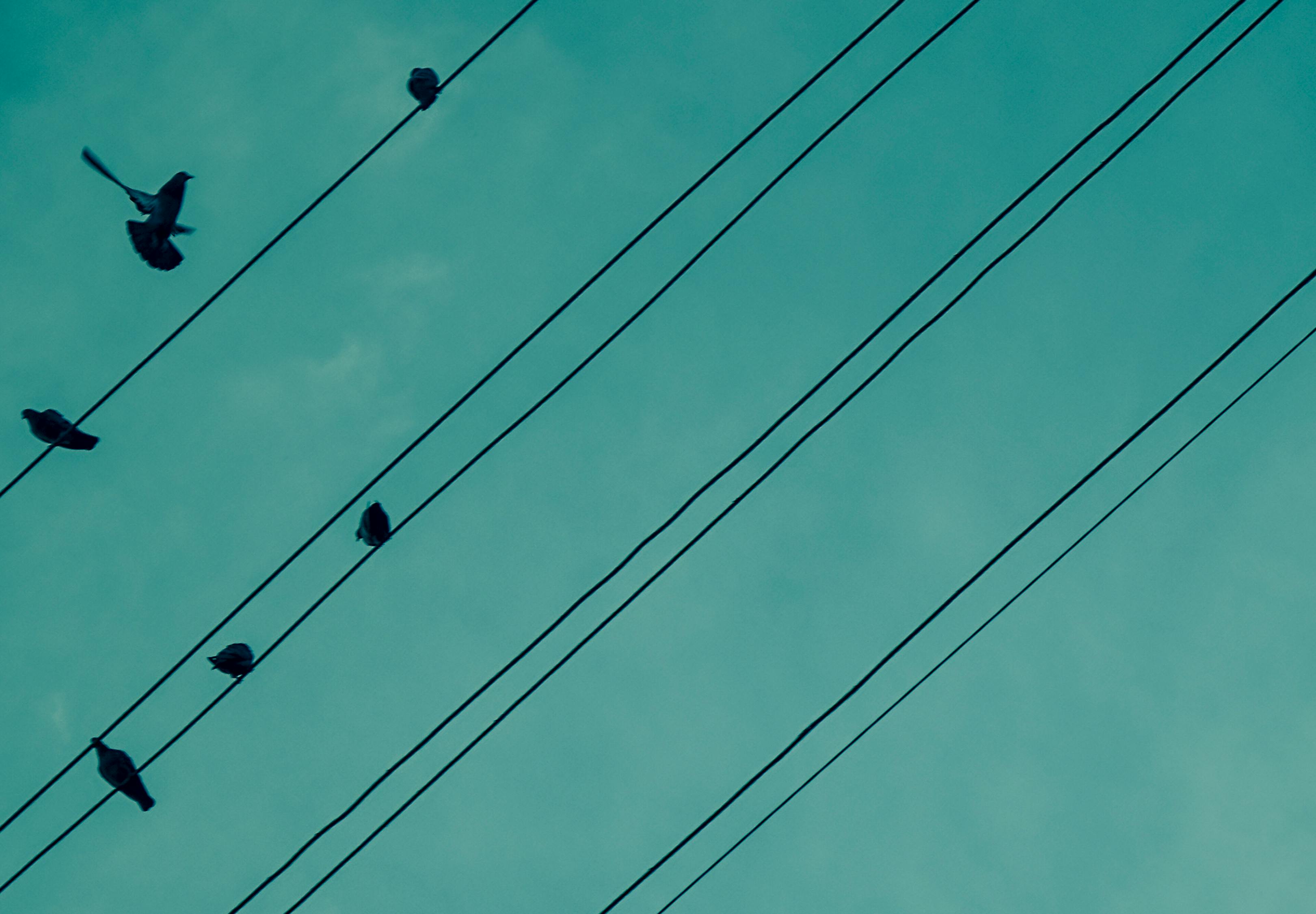 控制電纜價(jià)格的有效策略與方法，降低成本的關(guān)鍵之道