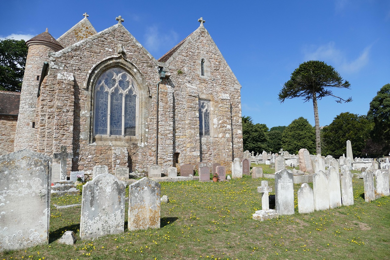 泰拳新動(dòng)態(tài)，探究演變歷程與未來(lái)發(fā)展展望