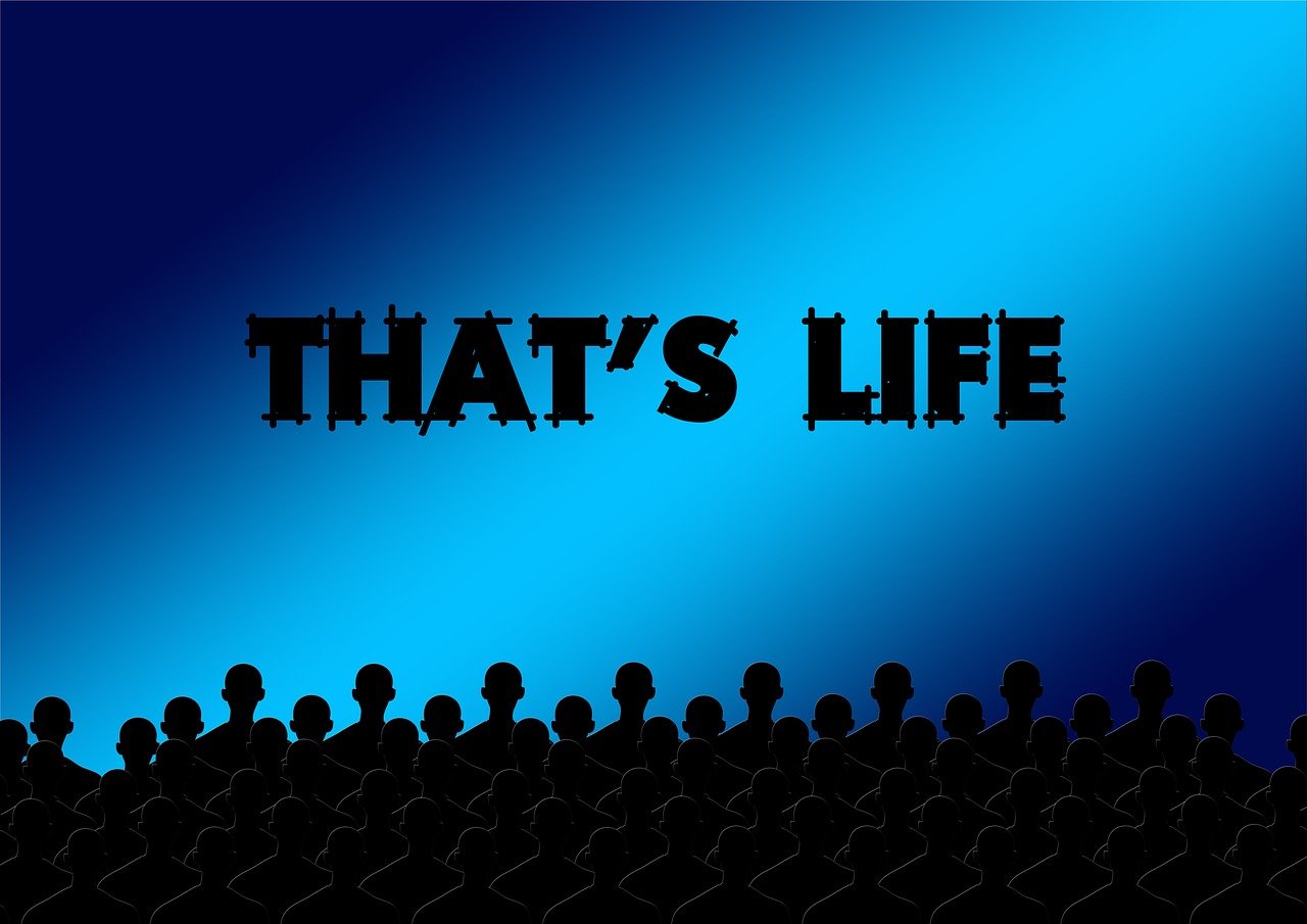 2025年2月 第293頁