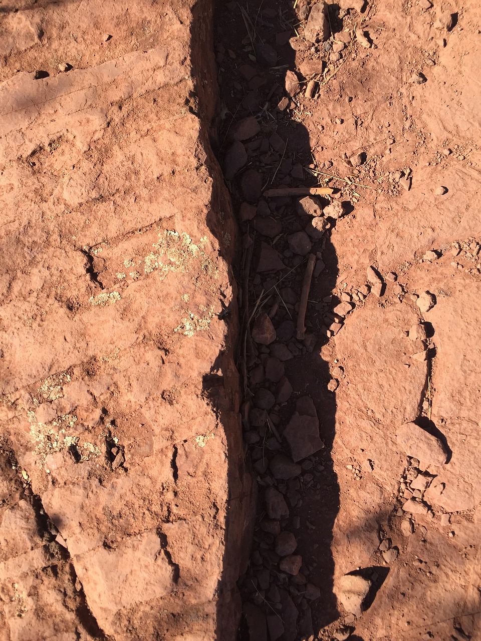 全球軍事變革的最新動態(tài)與未來展望