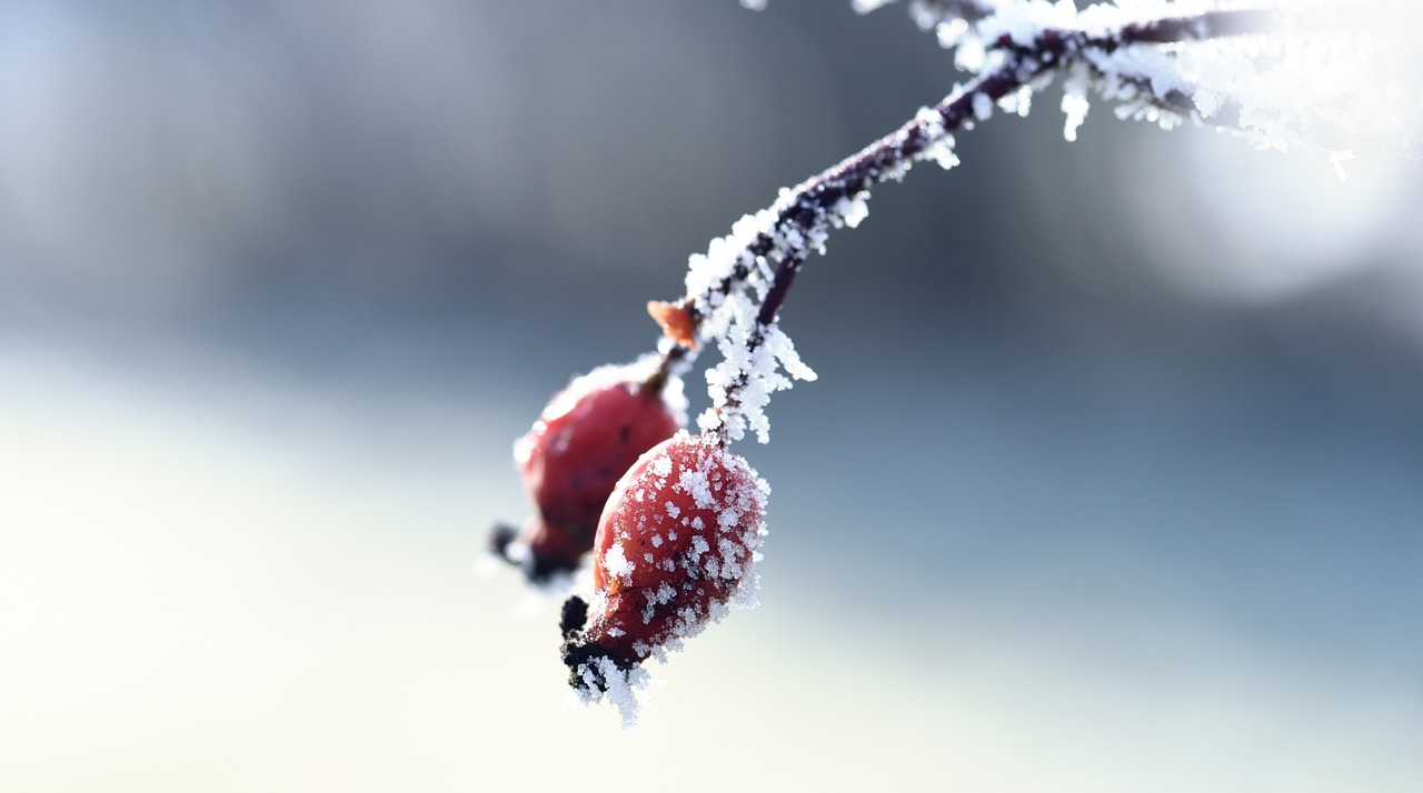 網(wǎng)絡(luò)陰影下的新型威脅，最新騷擾動(dòng)態(tài)揭秘