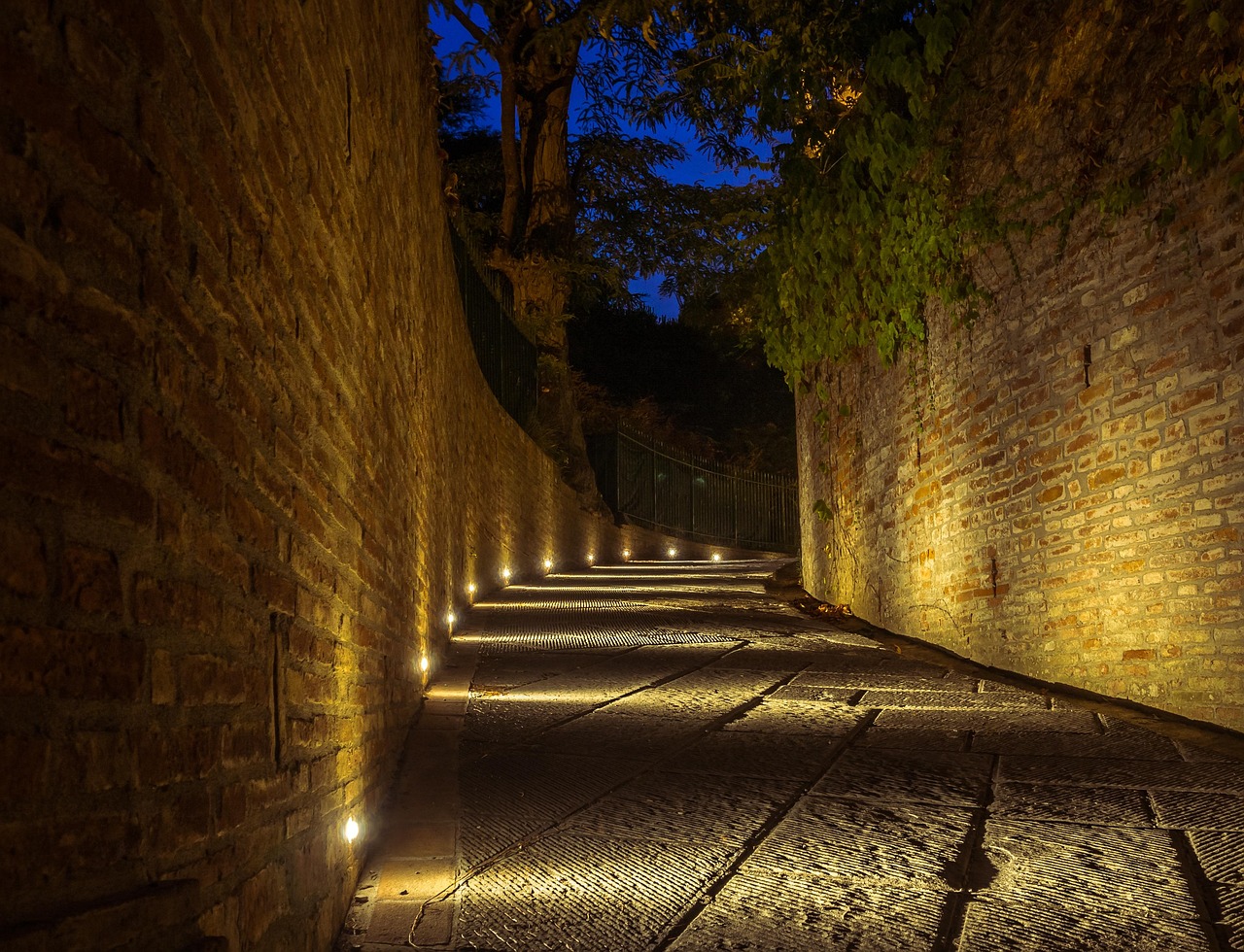 湖州明星，文化之路的璀璨光芒