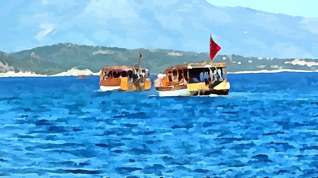 武藤蘭在數(shù)字藝術(shù)領(lǐng)域的新動態(tài)，探尋其嶄新旅程