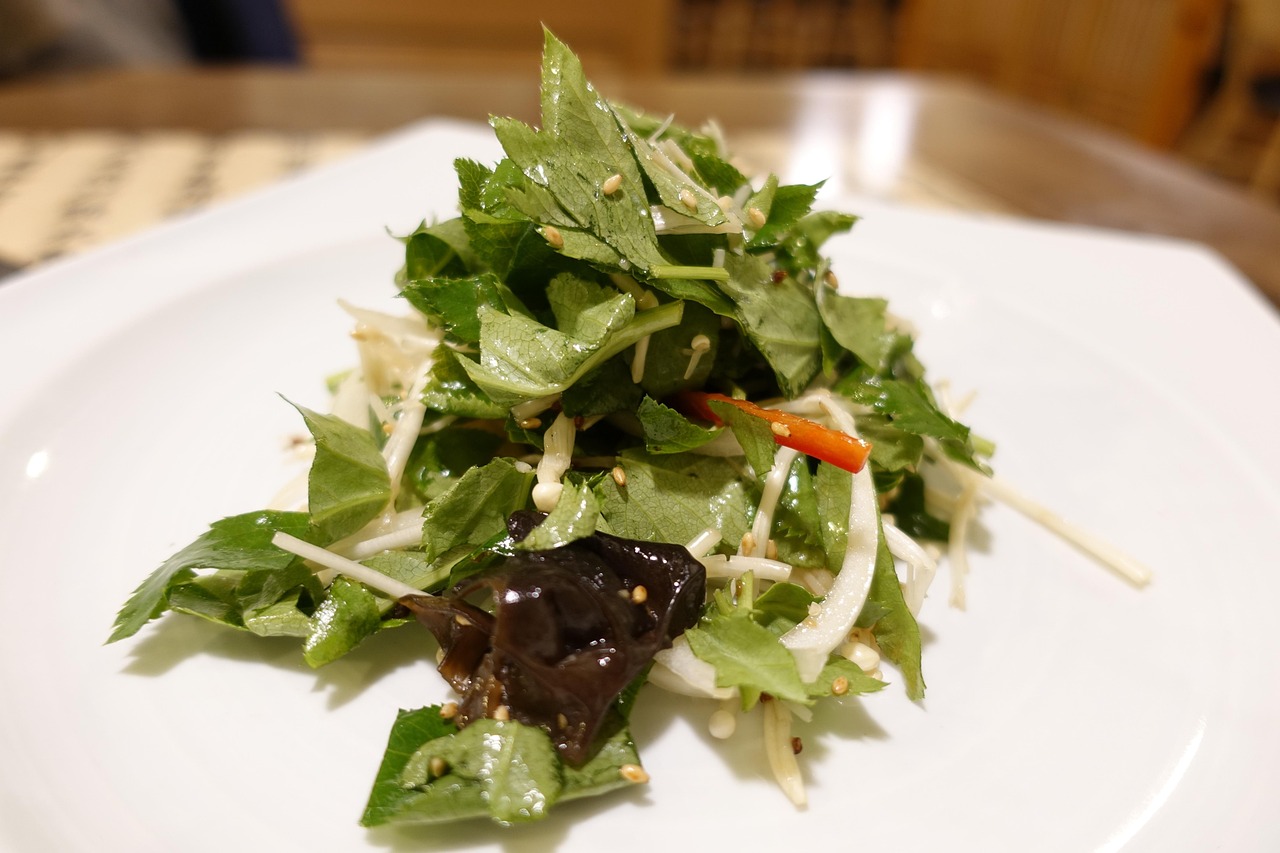 多香子資訊，探索信息世界的寶藏前沿動(dòng)態(tài)