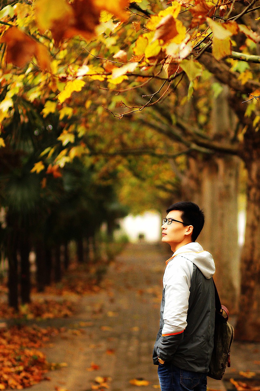 動(dòng)漫校園，青春夢想交織之所