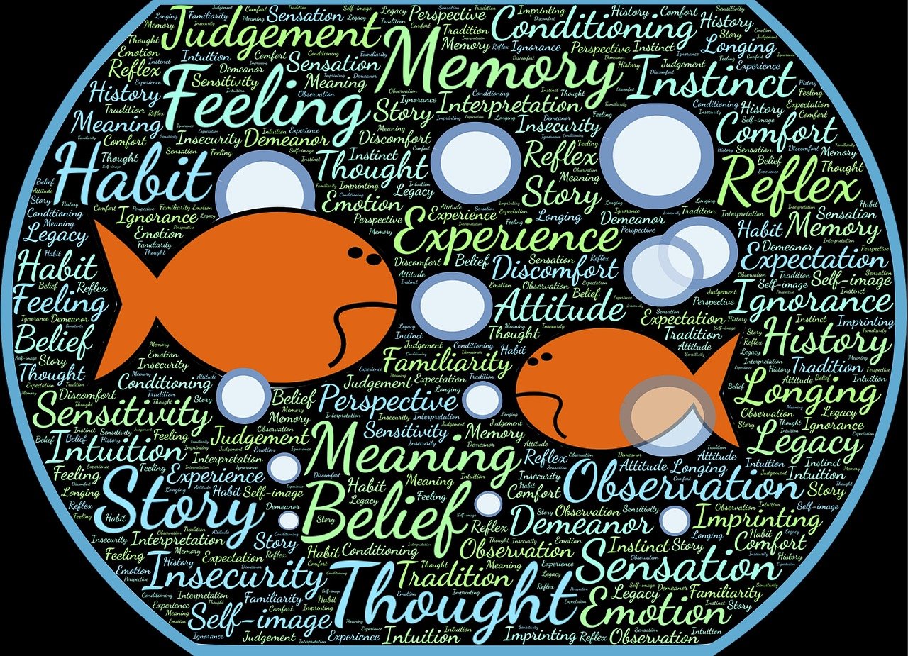 十二星座近期運(yùn)勢詳解及運(yùn)勢展望