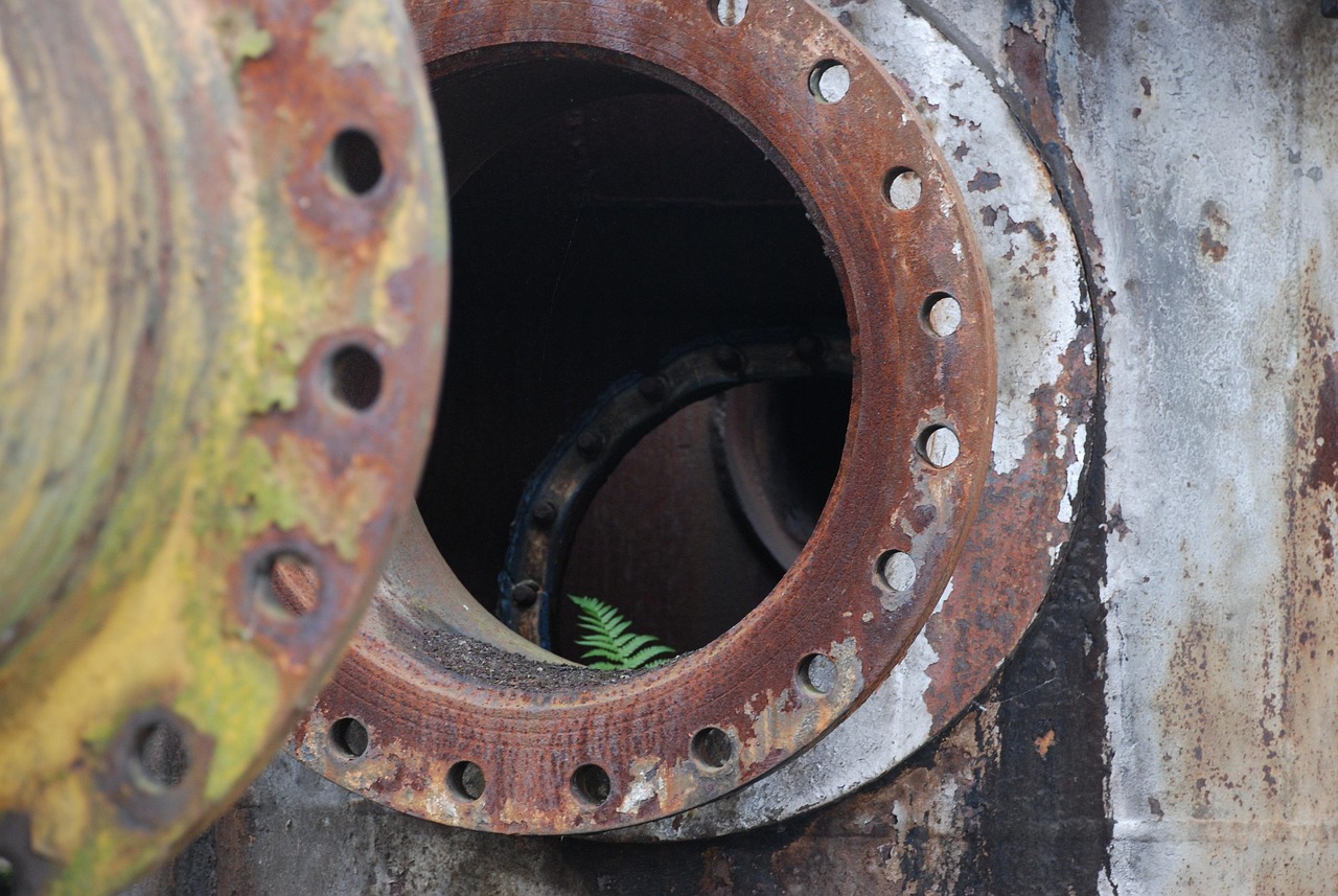 永年吊絲行業(yè)變革煥發(fā)新活力，聚焦最新動態(tài)