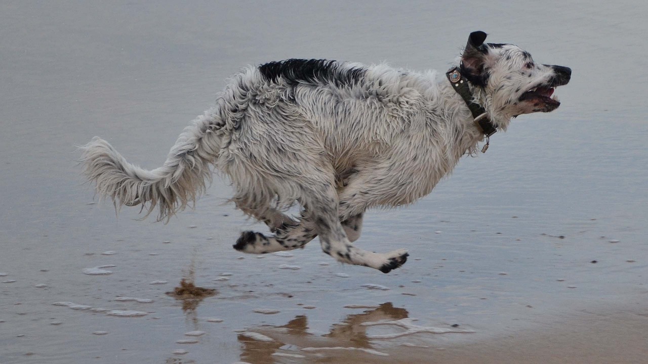 嵊州店鋪?zhàn)赓U最新資訊更新，掌握最新動(dòng)態(tài)