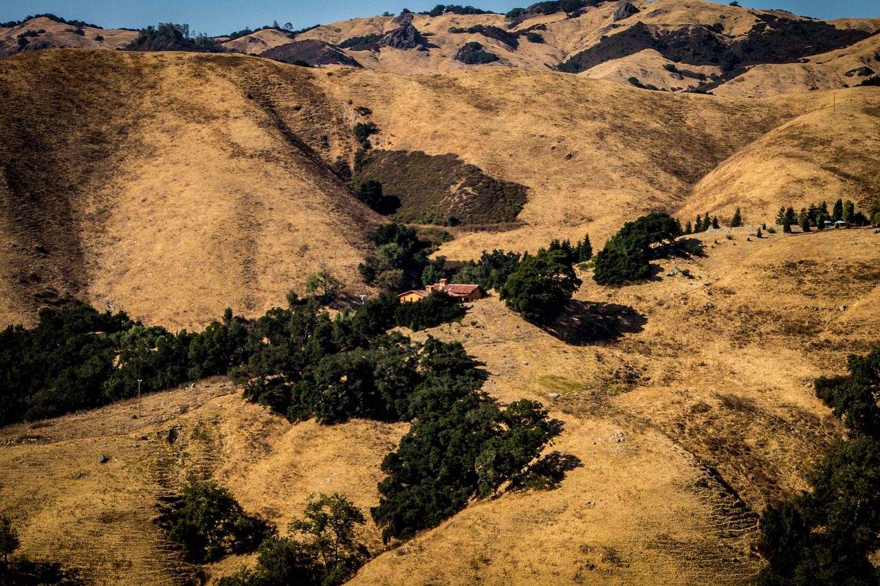 桂林洋萬達(dá)城最新動態(tài)，揭開未來繁華序幕，展望城市新面貌