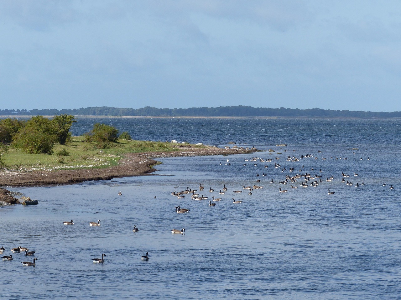 全球綠色發(fā)展新動(dòng)態(tài)，環(huán)保進(jìn)展與未來展望