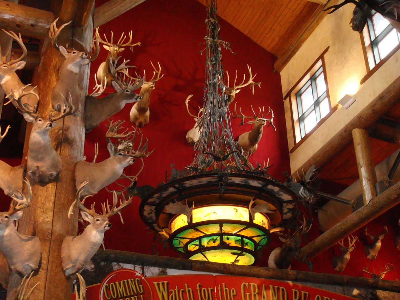 動(dòng)漫界十大最帥之劍盤點(diǎn)