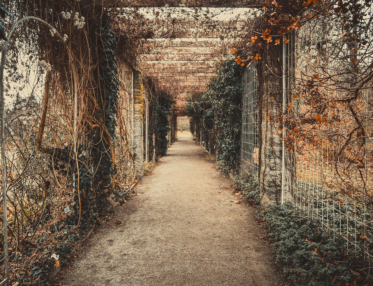 我閱君心 第10頁