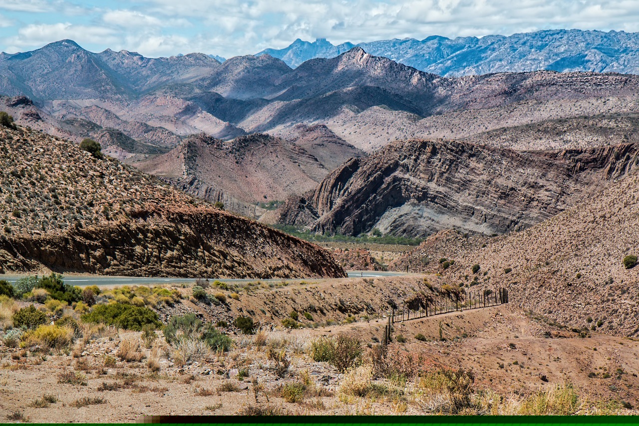 梁佩玲新動(dòng)態(tài)，探索無限可能的旅程之旅
