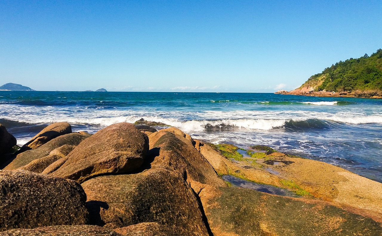 三亞孔雀城最新動(dòng)態(tài)揭秘，熱帶濱海城市的嶄新面貌