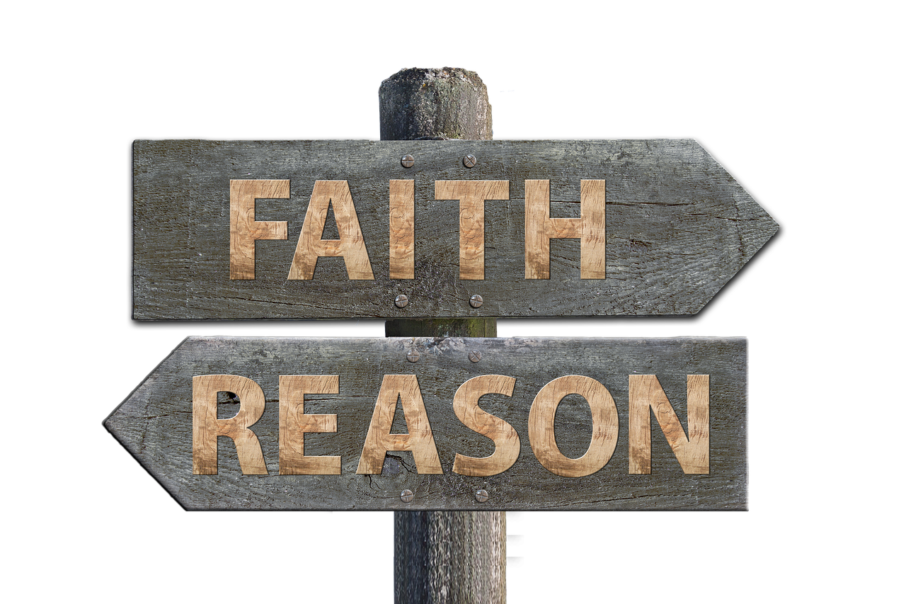 雪蝶宿秋風(fēng) 第10頁(yè)