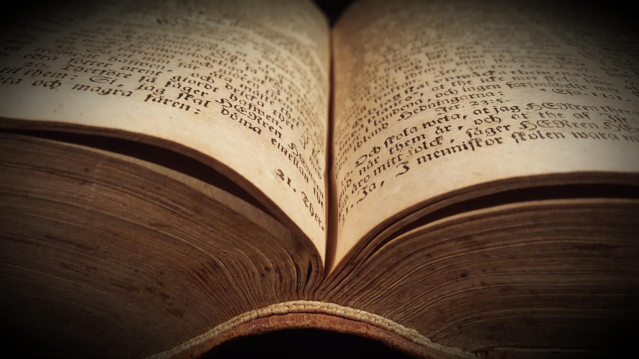 電影忠犬八公，感人肺腑的忠誠故事與深遠(yuǎn)影響