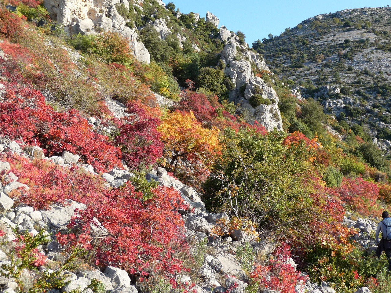 2025年2月 第19頁(yè)