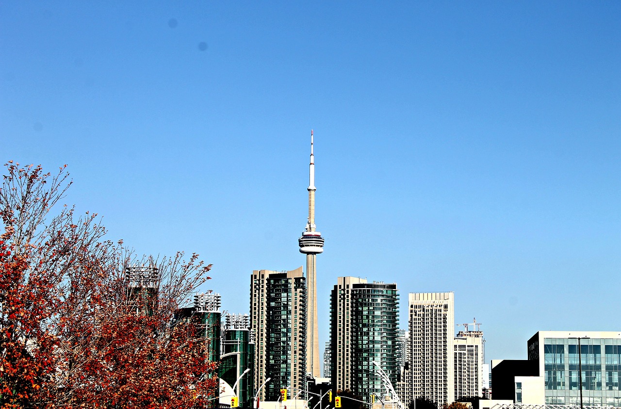 沈陽最新規(guī)章，塑造現(xiàn)代化城市的基石