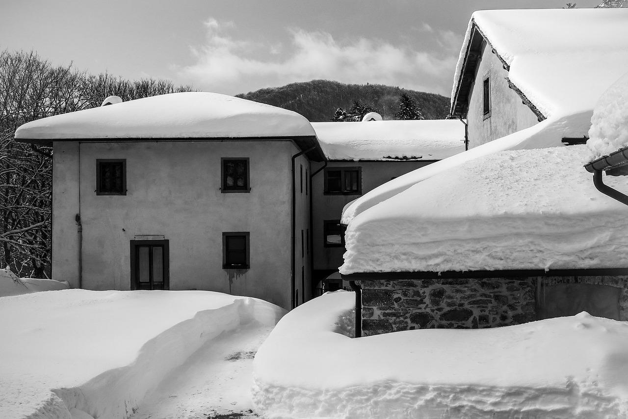 吳江瑞景國(guó)際最新價(jià)格動(dòng)態(tài)及行情分析