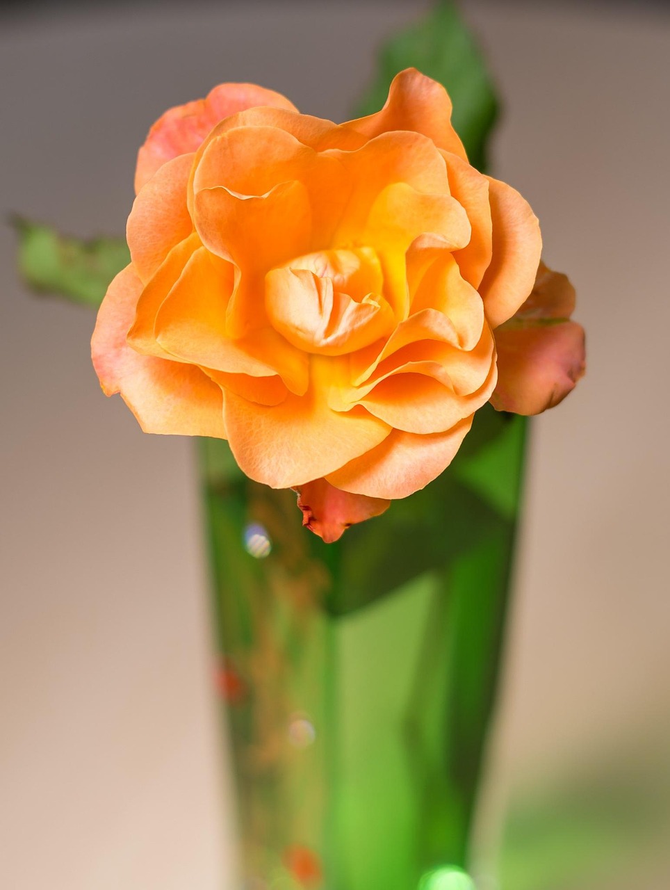 香月湖業(yè)主論壇最新動(dòng)態(tài)概覽，掌握最新動(dòng)態(tài)，關(guān)注業(yè)主聲音