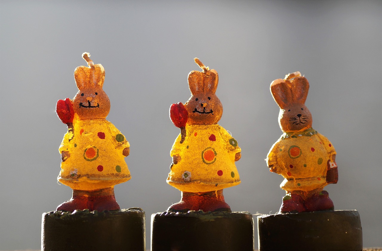 寶雞最新資訊概覽，最新動態(tài)一網(wǎng)打盡