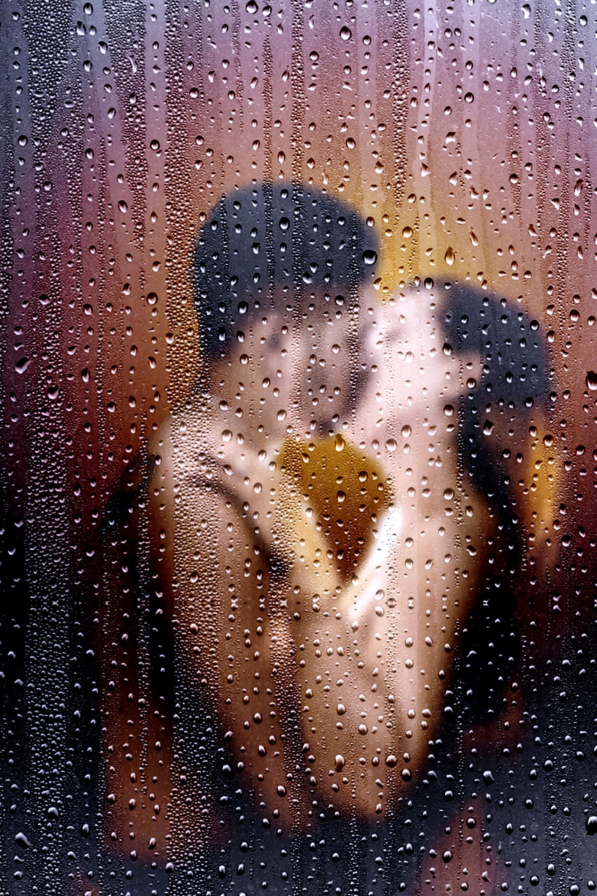 玉米價格走勢深度解析，行情趨勢與市場動態(tài)