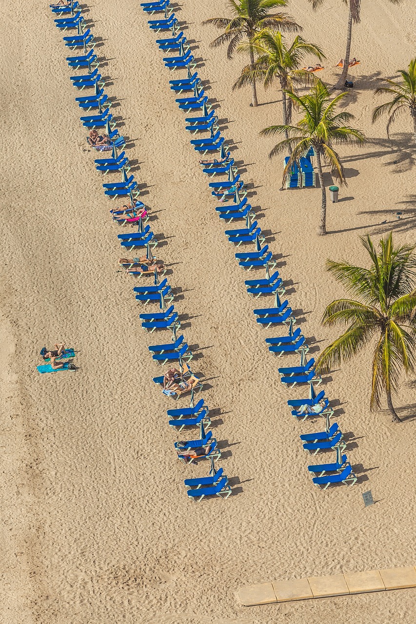 仙途最新破解版，探索神秘仙俠世界的無(wú)限可能之旅