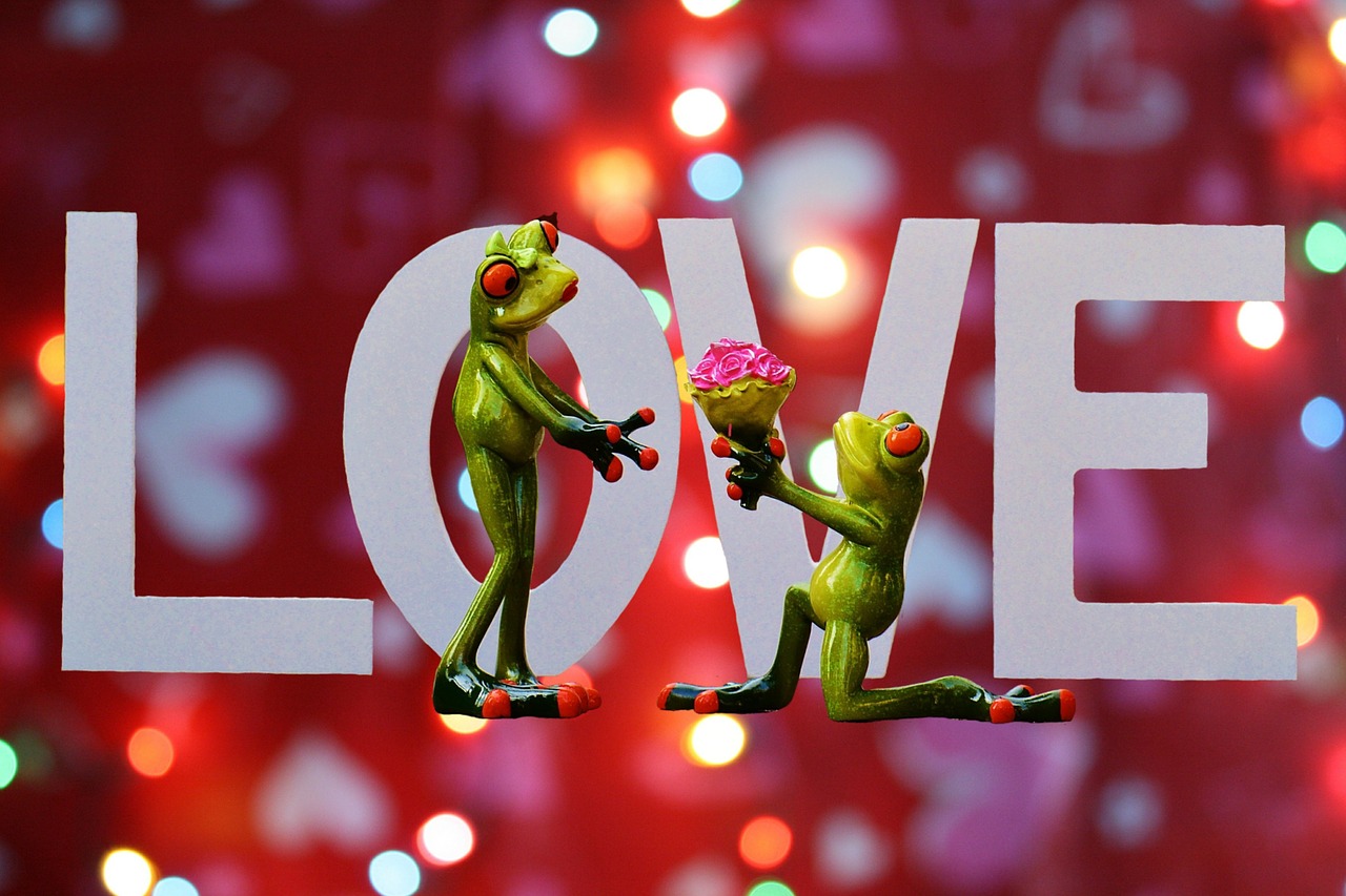 探索97愛官方網站，引領愛的力量的平臺