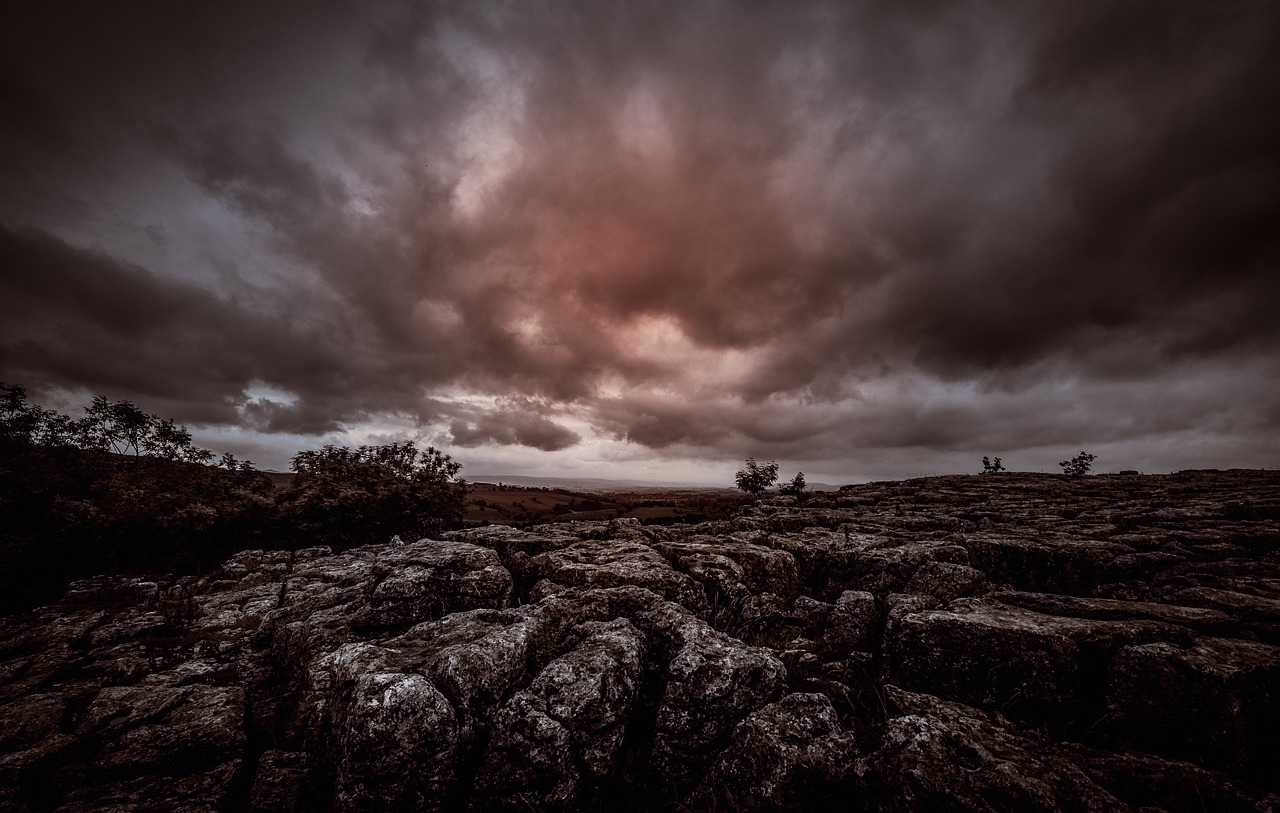 行雁書(shū) 第8頁(yè)