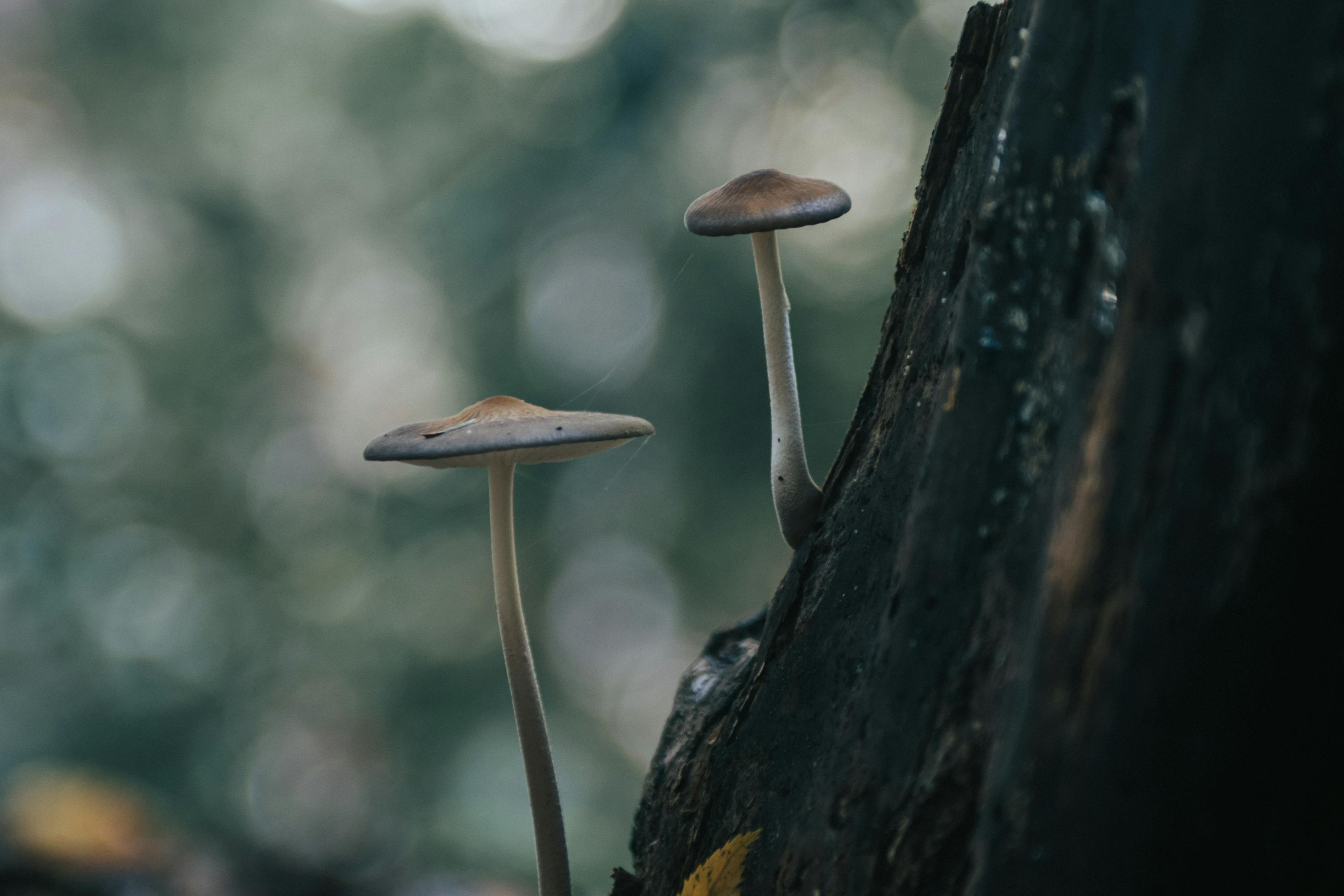 哈爾濱城市新動態(tài)，煥發(fā)勃勃生機(jī)與活力