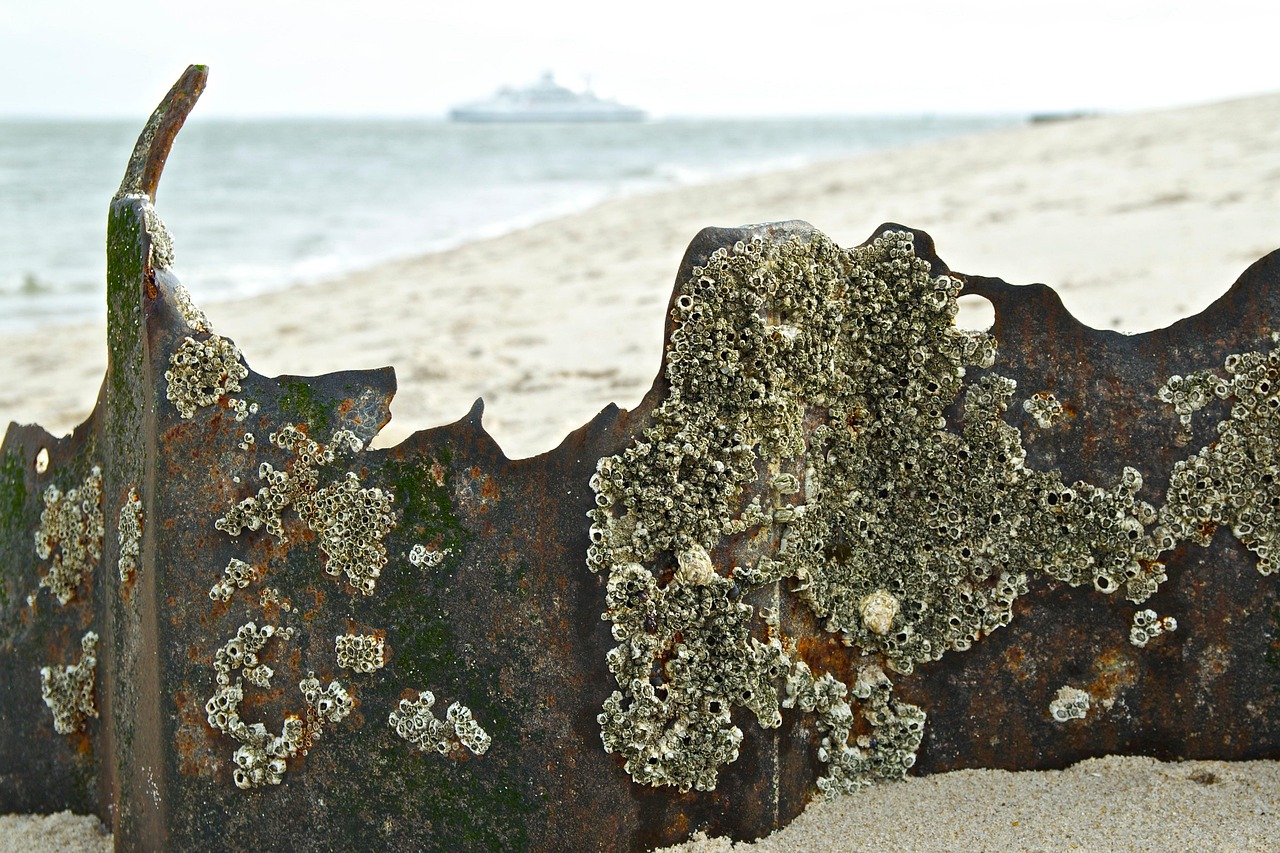 鄭萬高鐵興山最新進展、影響與展望，動態(tài)更新速遞