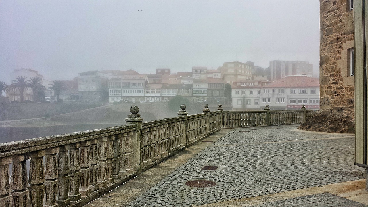 岠嶂華庭最新房價及市場趨勢深度解析