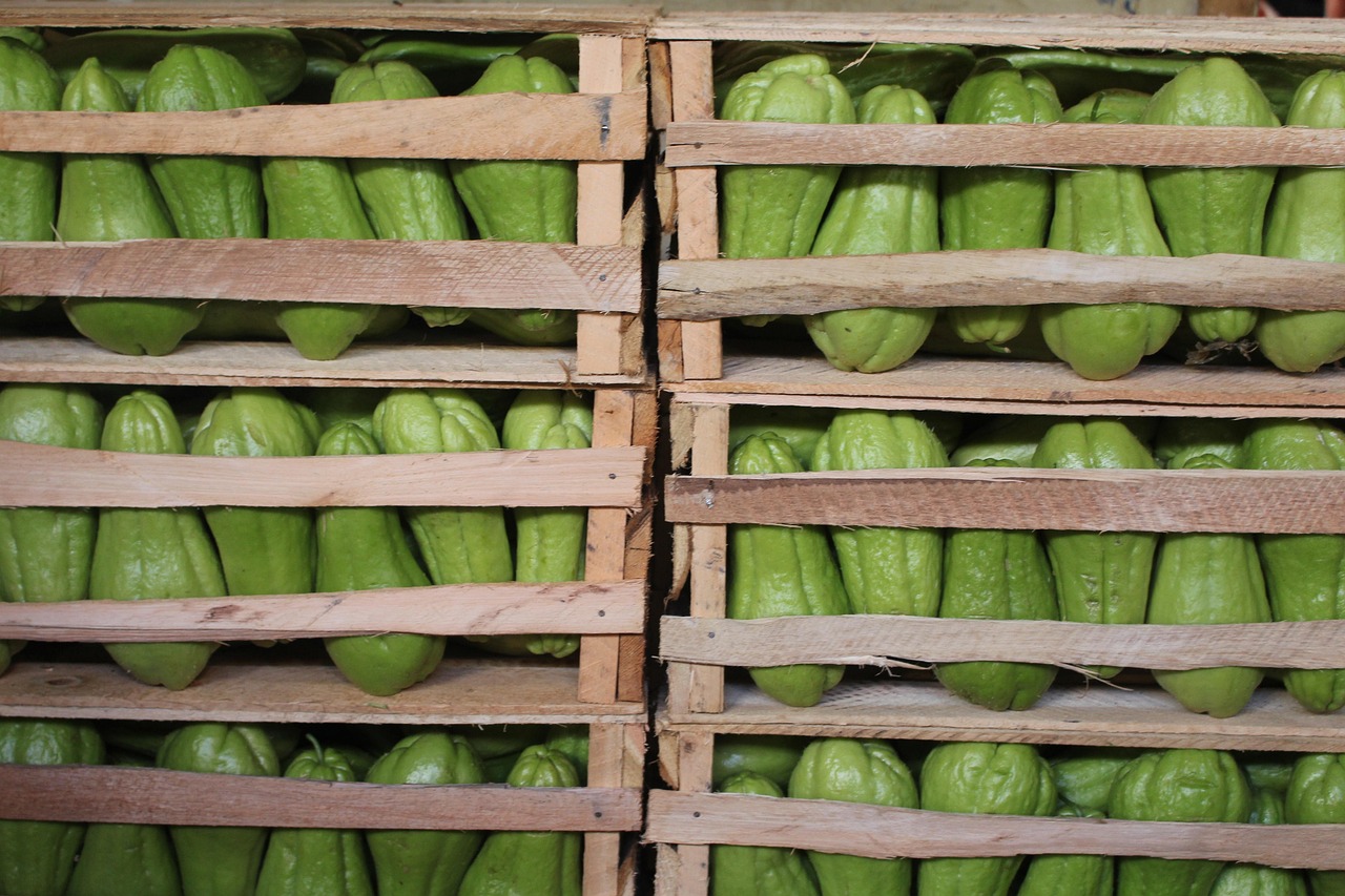 成安新鮮資訊，探索城市新動態(tài)，領(lǐng)略發(fā)展風(fēng)采