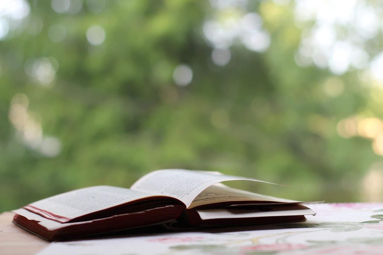 陌汐兒 第8頁(yè)