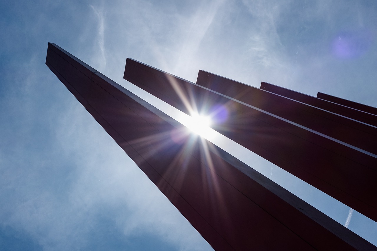 芹菜最新價格動態(tài)分析與市場影響研究報告