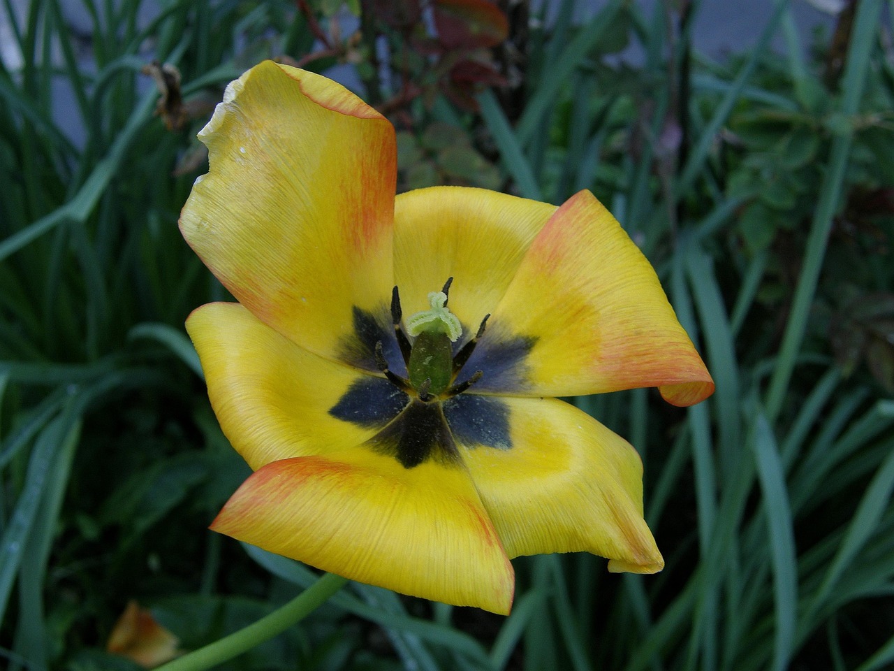 儋州濱海新區(qū)嶄露頭角，蓬勃發(fā)展的新引擎動態(tài)更新