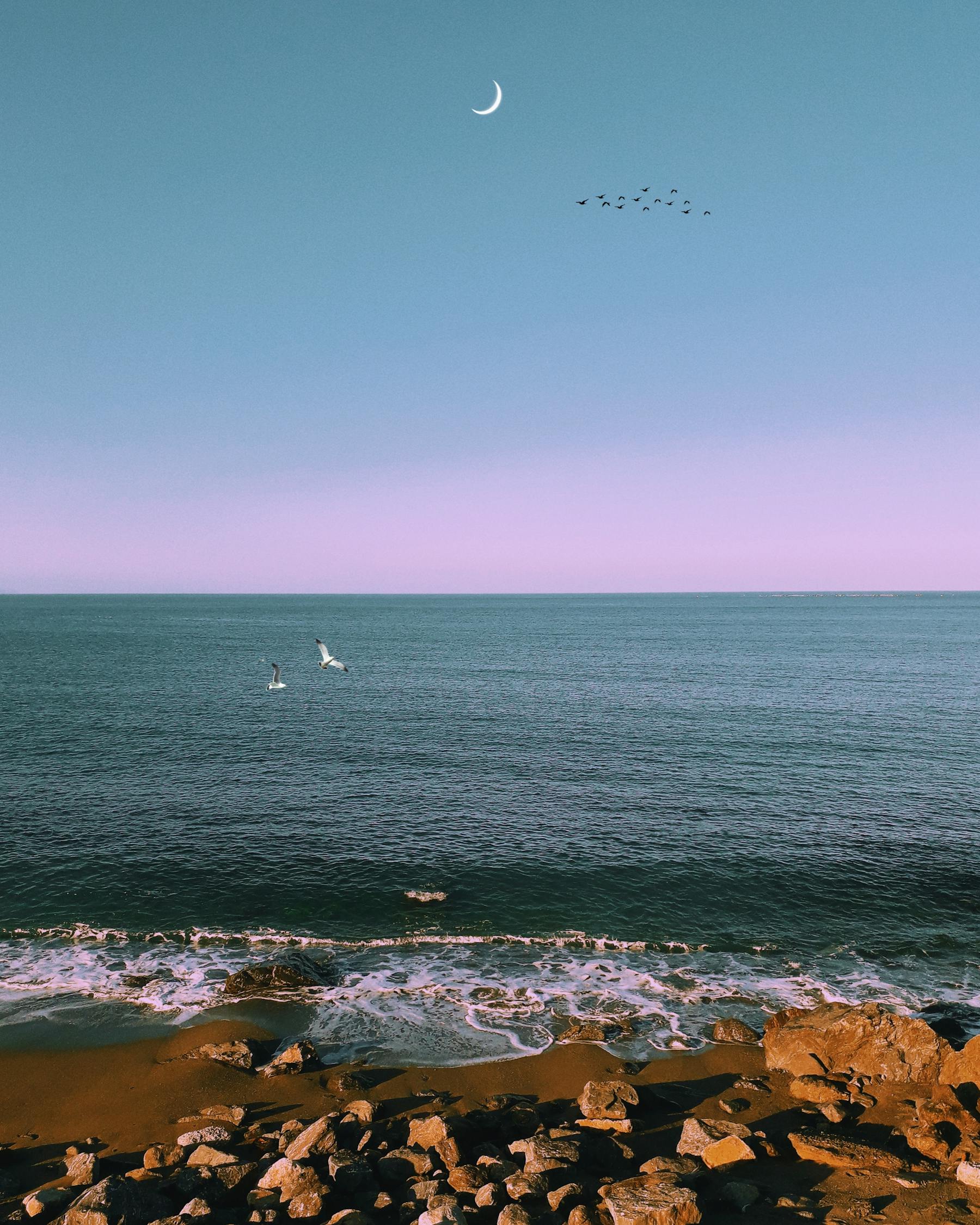 皎娘新動(dòng)態(tài)，時(shí)代風(fēng)尚的璀璨明珠引領(lǐng)者