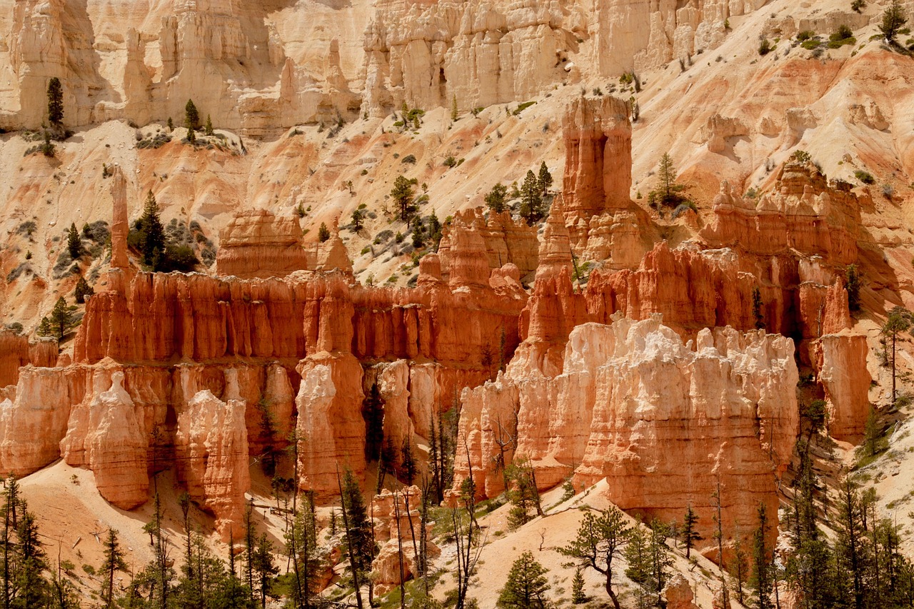 世博文化公園最新動(dòng)態(tài)與深度解析