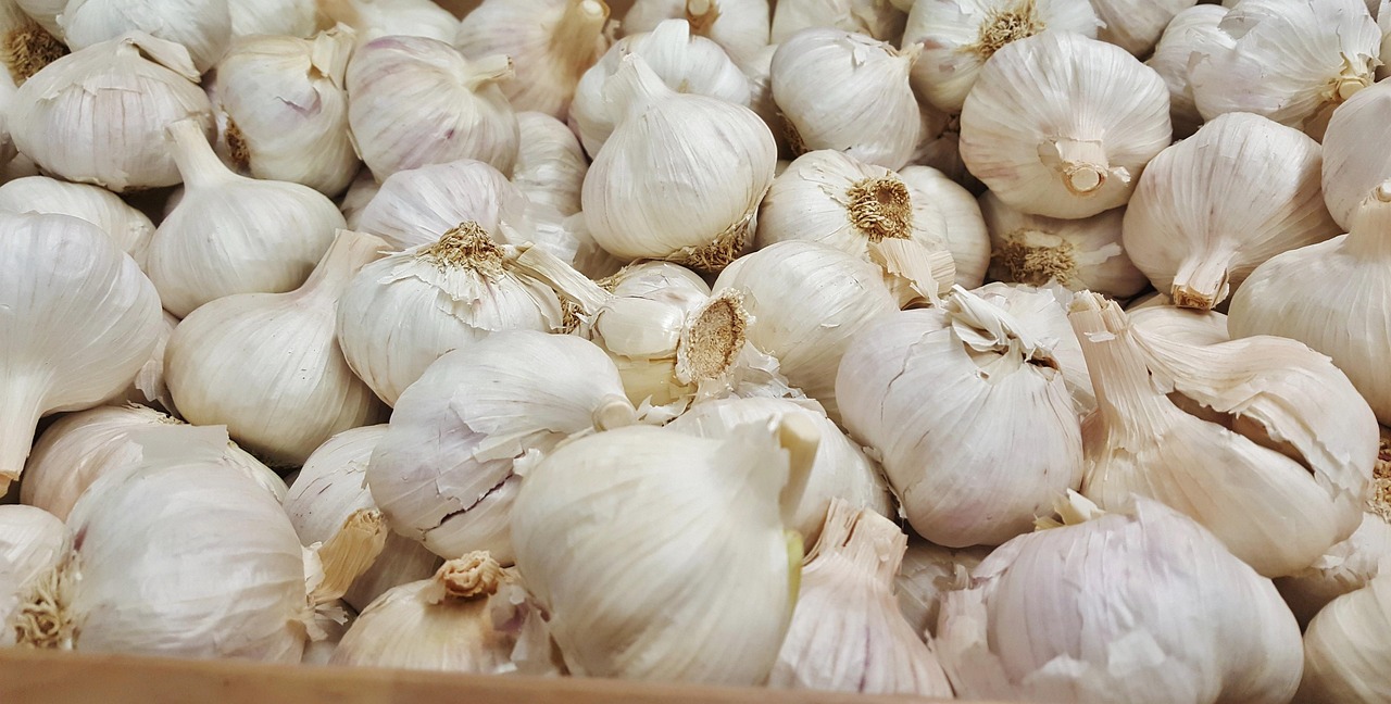 徐州大蒜價(jià)格最新行情及分析