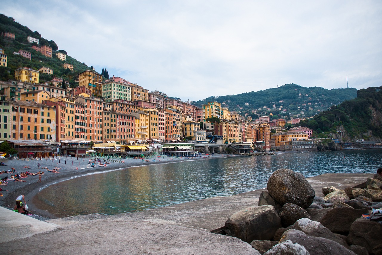 山東小麥今日最新價格及動態(tài)分析概述