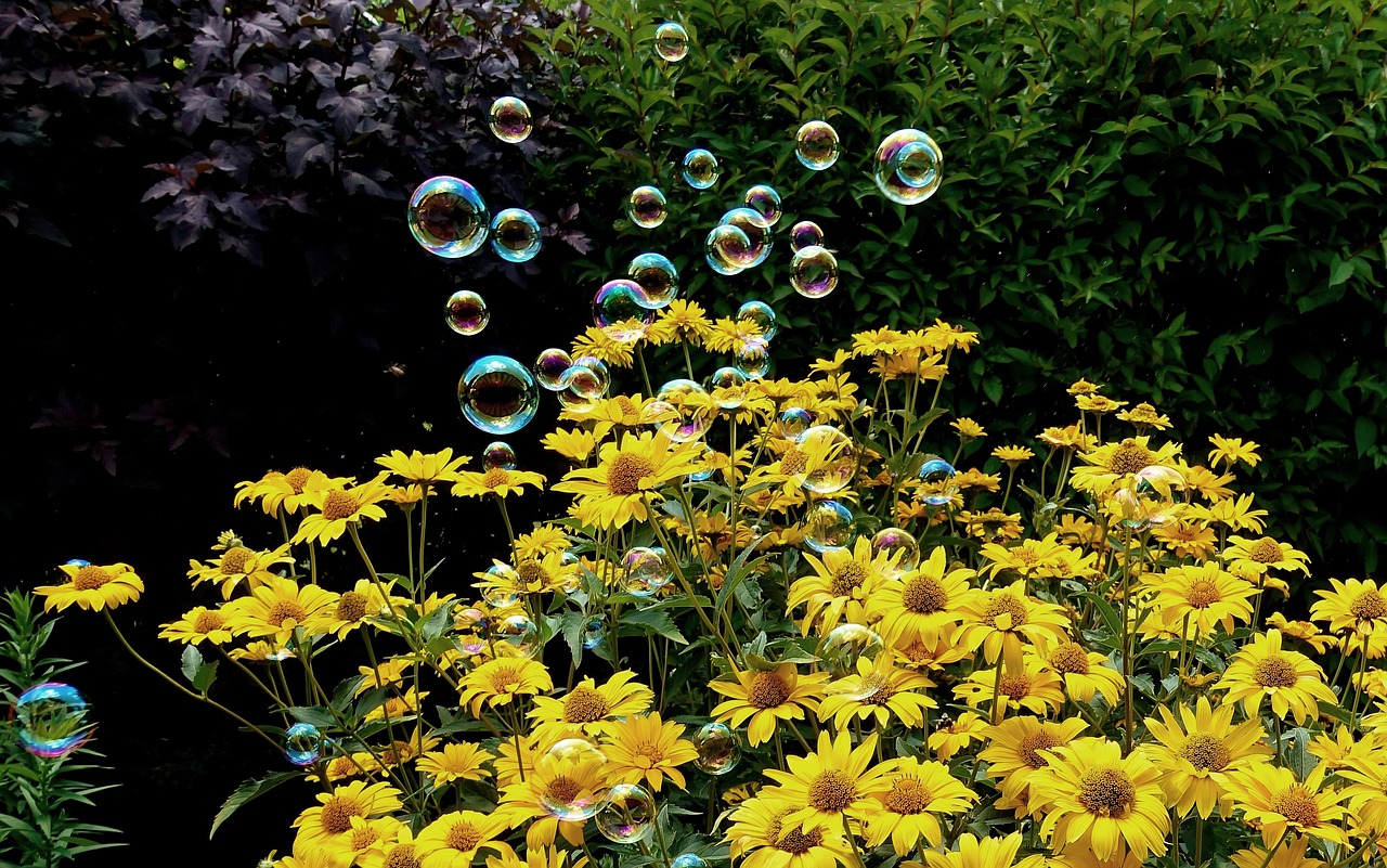 云南鐵路招聘最新信息詳解及最新動(dòng)態(tài)速遞