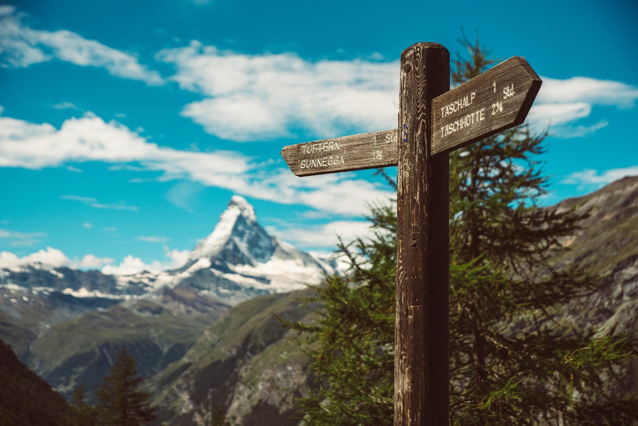 普邦園林最新動態(tài)，創(chuàng)新綠色發(fā)展的前沿探索