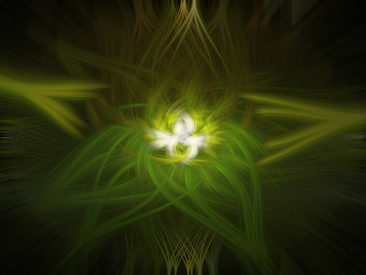 陳柏光最新動態(tài)，探索前沿，引領(lǐng)未來