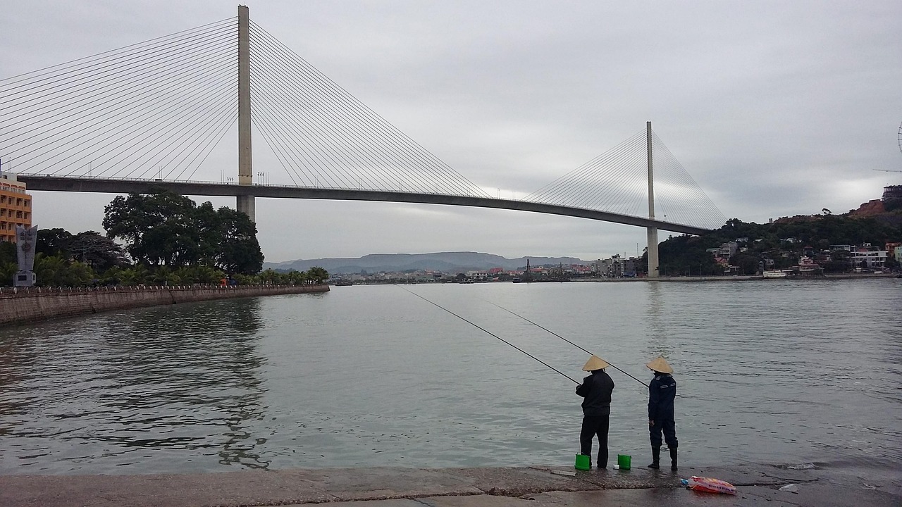 最新橋筏釣鯽魚技巧視頻，輕松掌握釣魚技巧，輕松釣魚！