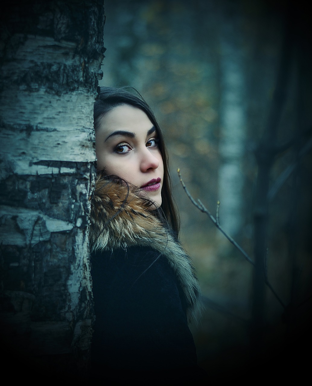 黑暗圣經(jīng)動(dòng)漫，神秘世界的深度探索與魅力展現(xiàn)