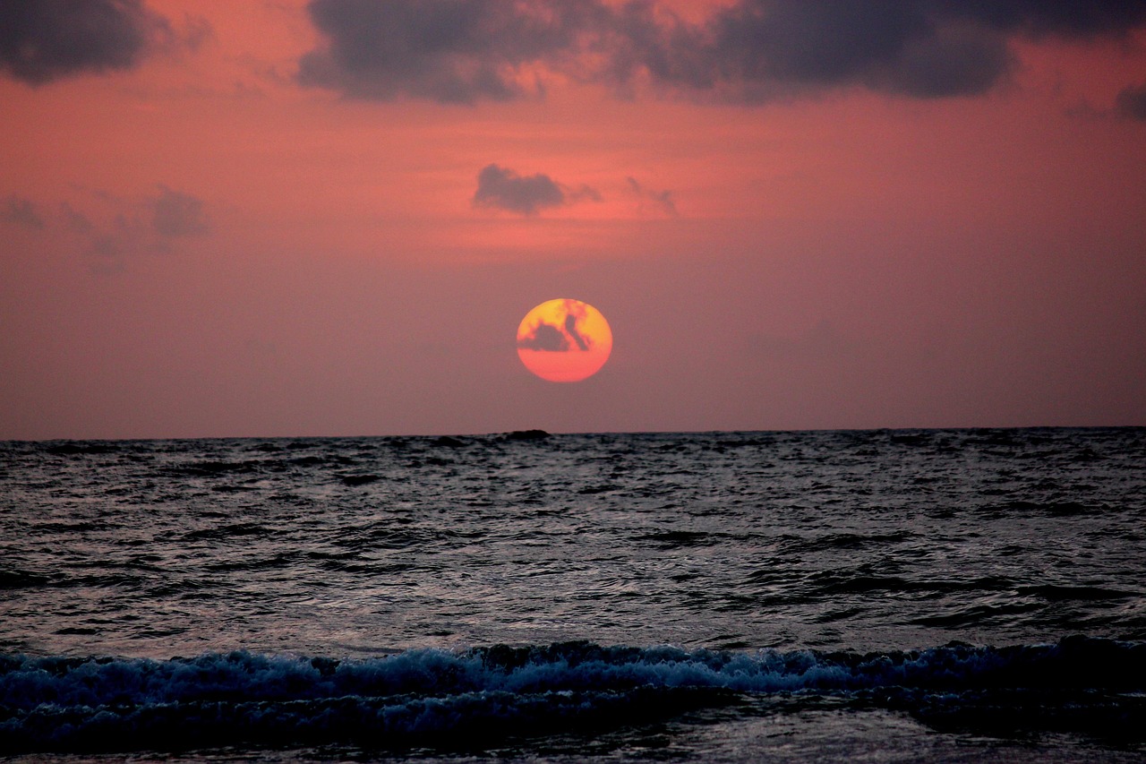 印度軍方疫情最新動(dòng)態(tài)更新