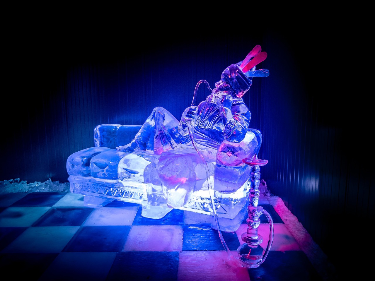 九江市怡芳苑最新動態(tài)，展現(xiàn)新時代風(fēng)采的綻放