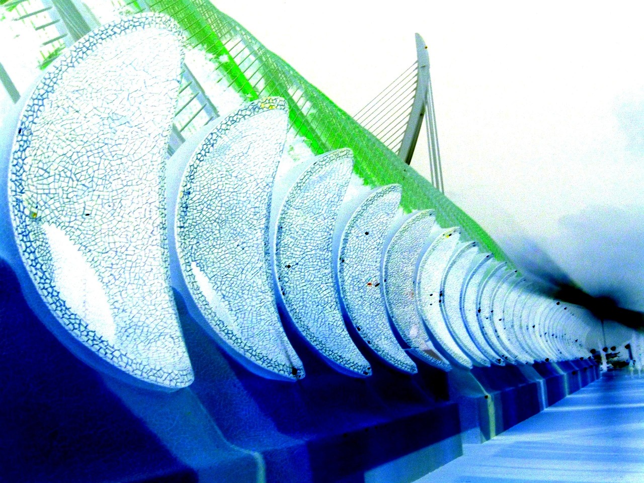 邯鄲市廣平最新動(dòng)態(tài)，城市發(fā)展脈搏與未來(lái)展望